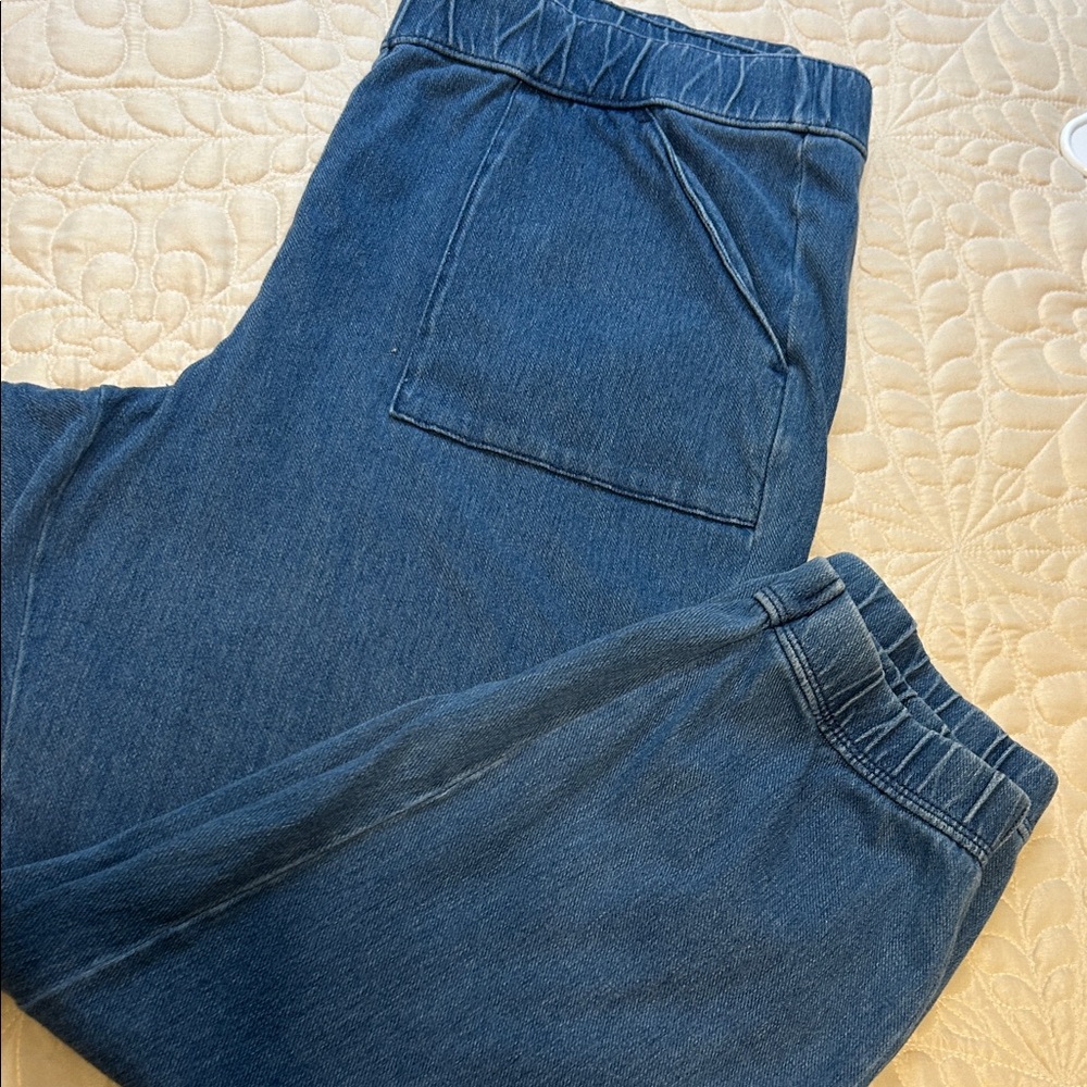 Blue Denim Jogger Pants
